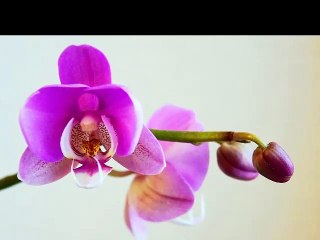 4dejy #낙태수술비용 [낙태수술 aaww2277@gmail.com    ~메일로 문의하세요.] 낙태비용