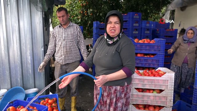 Hortumun vurduğu Kumluca'nın Ziraat Odası başkanından ürünlerde fiyat artışı çıkışı