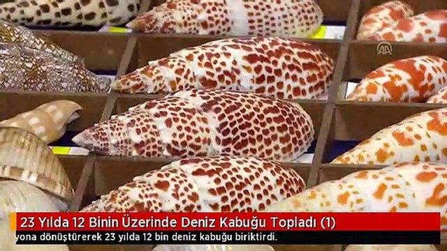 23 Yılda 12 Binin Üzerinde Deniz Kabuğu Topladı (1)