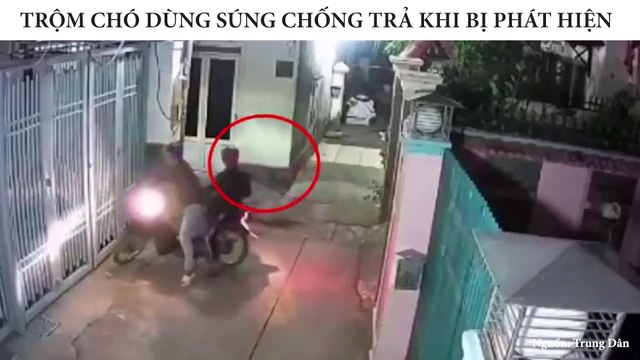 CẨU TẶC DUNG SÚNG TẤN CÔNG CHỦ NHÀ KHI BỊ PHÁT HIỆN