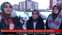 Kars'ta Üniversite Öğrencileri Sokak Hayvanları İçin Seferber Oldu