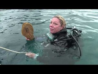 Alarm në Mesdhe, po zhduken midhjet emblematike  - Top Channel Albania - News - Lajme