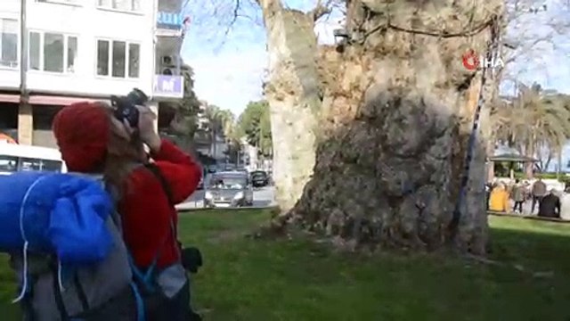 Türkiye'yi otostopla karış karış geziyor