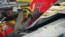 Instant noodle processing modern automatic factory machine - Amazing Food Processing Machines 2017