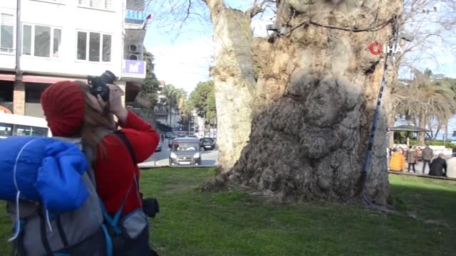 Türkiye'yi Otostopla Karış Karış Geziyor