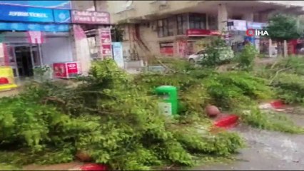 Fırtına ağaçları kökünden söktü, seyir halindeki otomobillerin üzerine devirdi