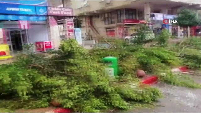 Fırtına ağaçları kökünden söktü, seyir halindeki otomobillerin üzerine devirdi