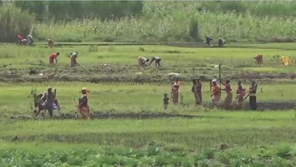 Le conflit entre le Burundi et le Rwanda affecte les agriculteurs