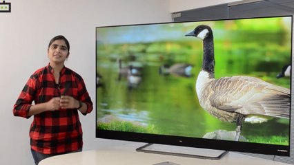 TCL X4 QLED 65-inch UHD Smart TV Features