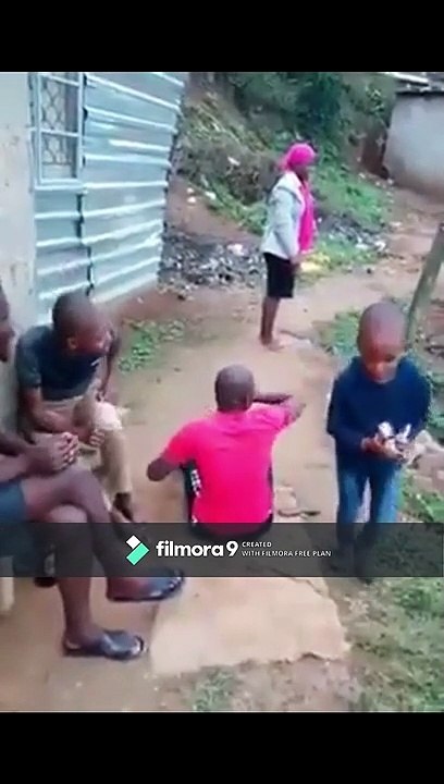 Nos cousins les primates