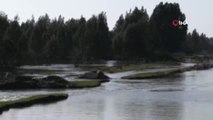 Sulama Kanalına Düşen Müdür Yardımcısını Arama Çalışmaları Sürüyor