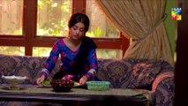 Baandi Episode #19 HUM TV Drama 25 January 2019