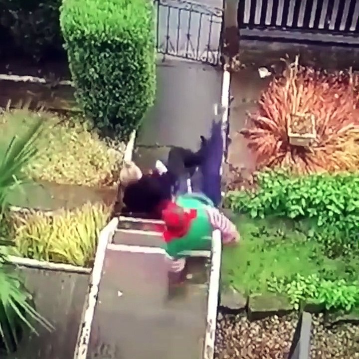 Le meilleur des caméras de surveillances : verglas, glissades, animaux, surprises... compilation !