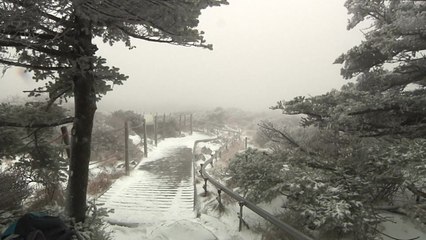 강풍에 한라산 정상 등반 통제 / YTN