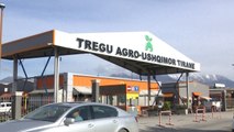 Report Tv - Skandali në tregun agro-ushqimor, gjykata mbron abuzimin me dy vendime kontradiktore