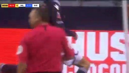 Lee Gregory Goal - Millwall vs Everton 1-1 26/01/2019