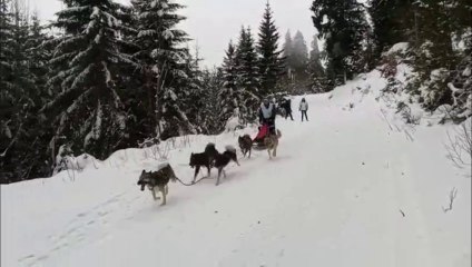 Course de traîneau au Lac Blanc