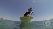 Ce labrador est dressé pour plonger dans la mer et attraper des homards