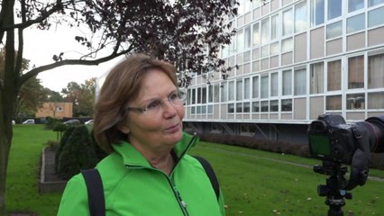Monica van Kleef: Groeten uit Rotterdam