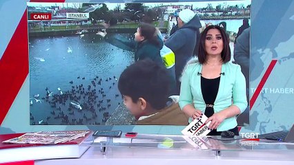 Martıların Bayat Ekmek Sevinci