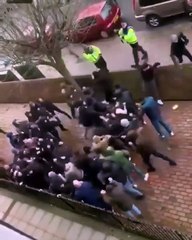 Millwall & Everton fans clash 26 Jan 2019