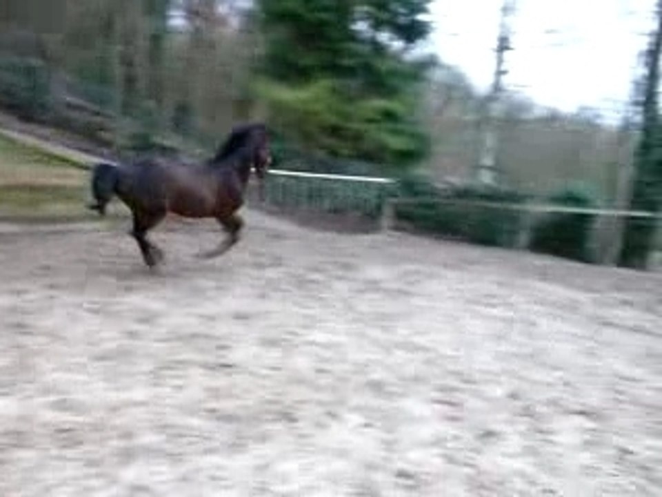 saut 1 mètre