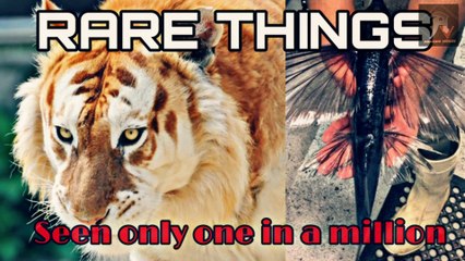 Rare Things Seen By Only One In A Million |HD