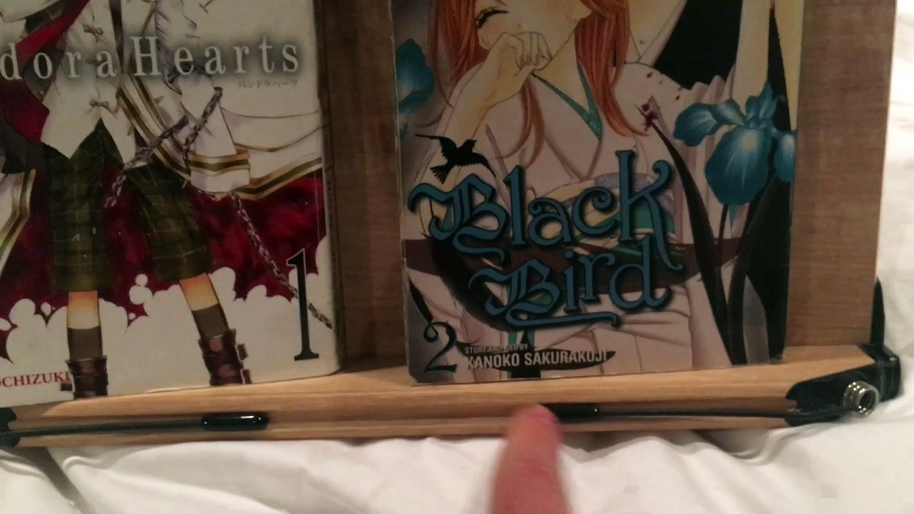 Double Manga Duel! Pandora Hearts vs. Black Bird