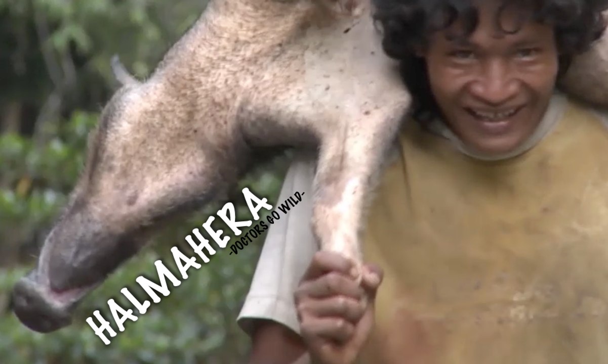 Halmahera | Doctors Go Wild (1)