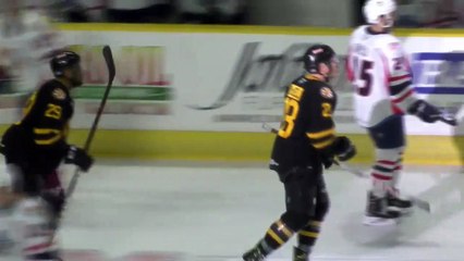 AHL Springfield Thunderbirds 2 at Providence Bruins 3