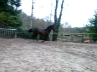 1,10 m avec un saut foireux