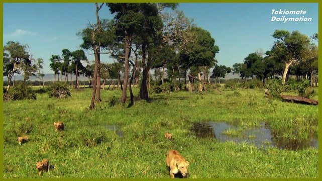 Savannah Unplugged /原音のサバンナ