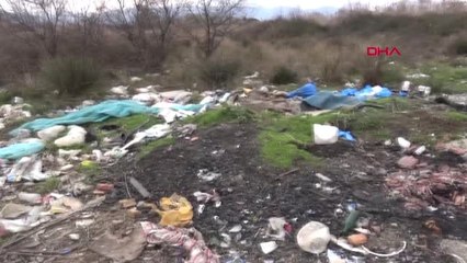 İznik'te Yaşanan Çevre Kirliliği İçin Yetkililer Harekete Geçti