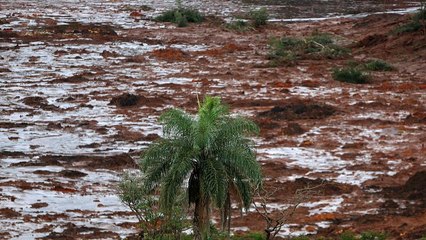 Прорыв дамбы в Бразилии: "Они ждали, что это произойдет"