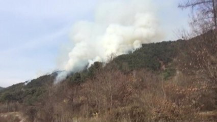강원도 춘천에서 산불...헬기 진화 중 / YTN