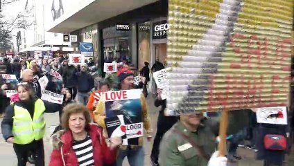 Anti-whaling activitists march to Japanese embassy in London