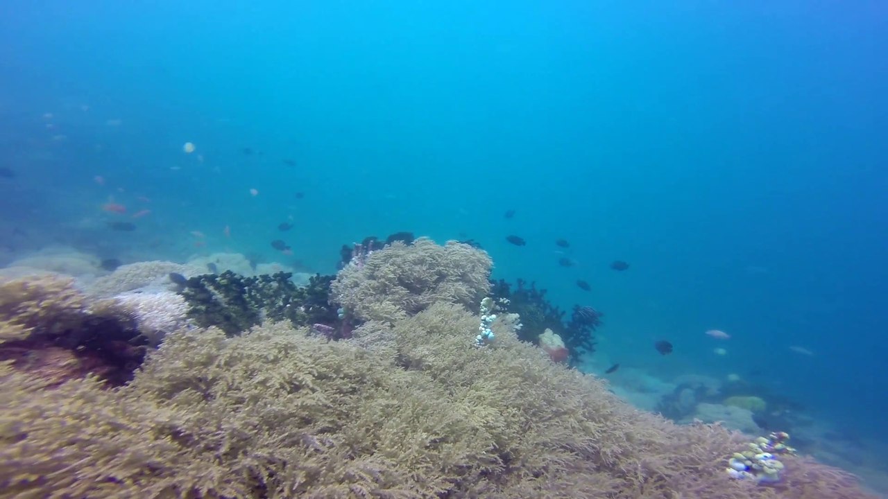 Puerto Galera Mindoro Island