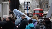 Anti-whaling activitists march to Japanese embassy in London