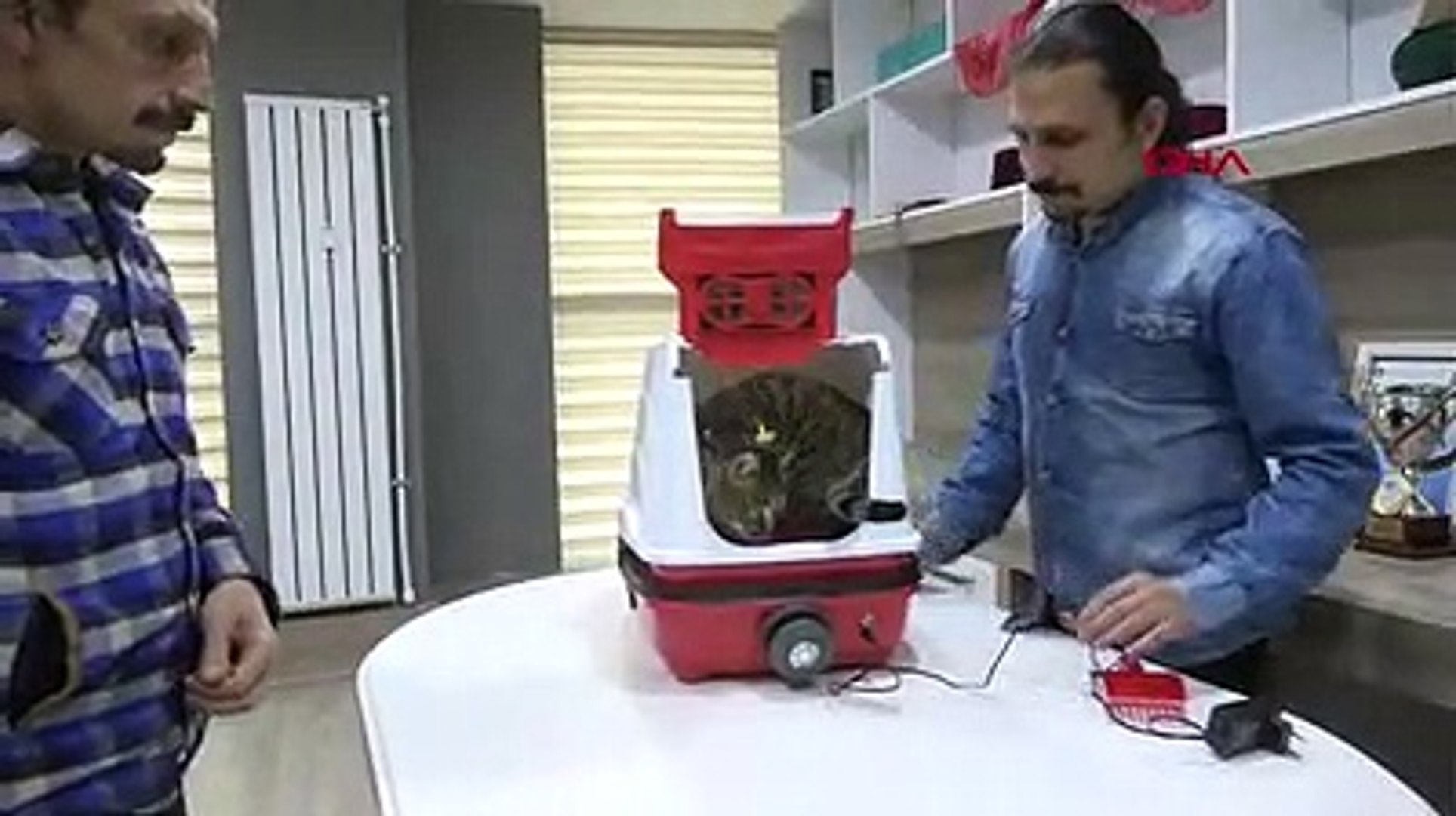 İkiz kardeşlerden kedilere özel filtreli tuvalet - Dailymotion Video