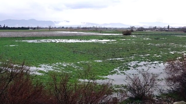 Edremit Körfezi'nde sağanak hayatı olumsuz etkiliyor - BALIKESİR