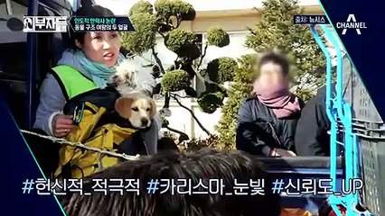동물 구조 여왕의 두 얼굴! 케어 박소연 대표의 인도적 안락사 논란