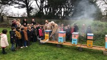 L’école Amélie Fristel récoltera son propre miel