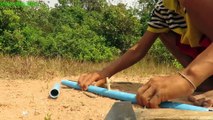 Primitive Technology - Easy Underground Python Snake Trap Using Pipe PVC & Goose Made By Smart Boys