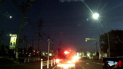 War Time Tragedies in Japanese Zoos