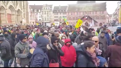 La manifestation pour le climat à Mulhouse