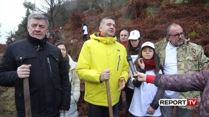 Rehabilimi i zonave të mbrojtura/ Klosi: 1500 pemë i shtohen Parkut Kombëtar të Llogarisë