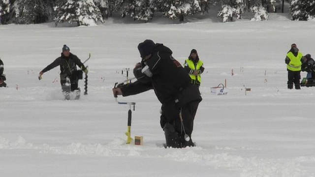 Кто умнее - человек или рыба? : в Болгарии проходит ЧМ по подлёдной рыбалке
