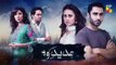 Tajdeed e Wafa Epi 20 Promo HUM TV Drama 27 January 2019