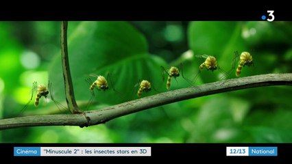 Cinéma : les insectes à l'honneur dans "Minuscule 2"
