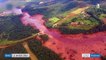 Brésil : 34 morts et 300 personnes toujours portées disparues dans l'effondrement d'un barrage